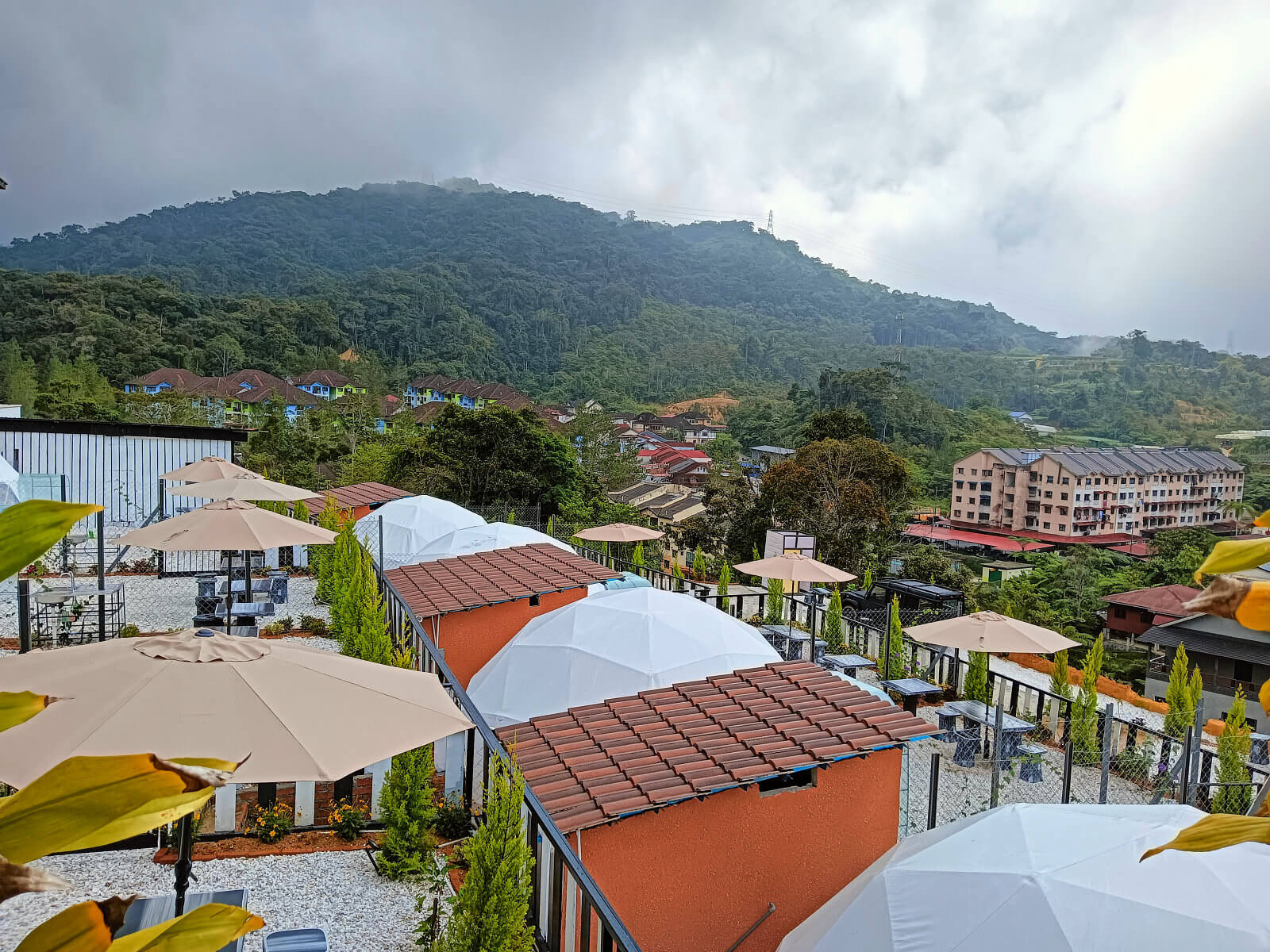 Gold Crest Cameron Highlands