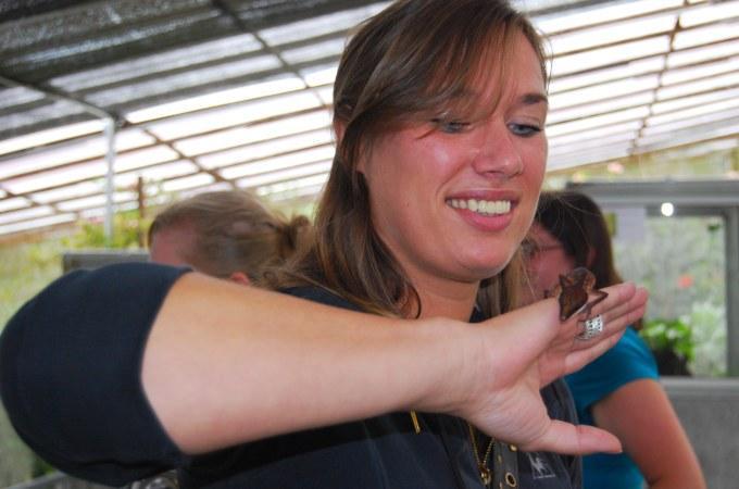 interactive in butterfly garden