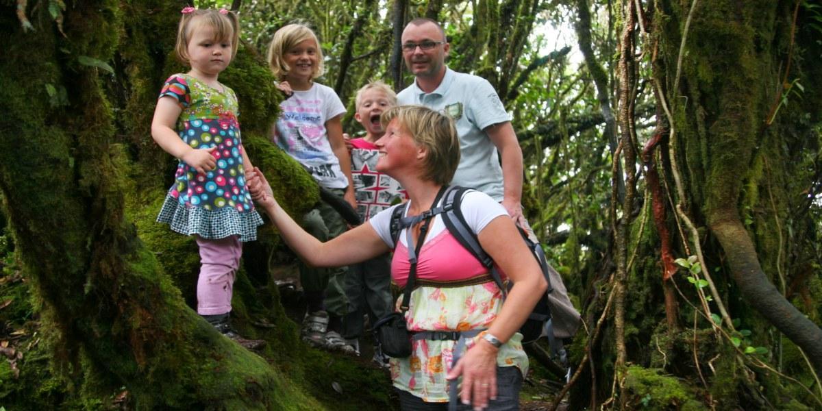 Mossy Rainforest Family Trekking