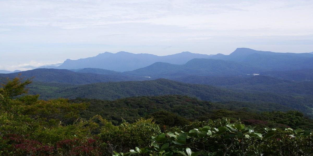 Mount Brinchang Best Way To View Cameron Highlands